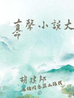 有声小说大王饶命