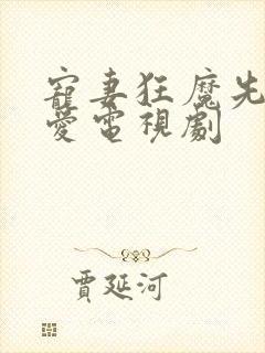 宠妻狂魔先婚后爱电视剧