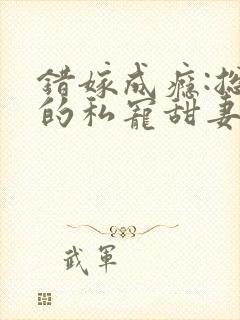 错嫁成瘾:总裁的私宠甜妻