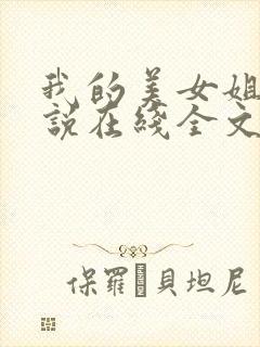 我的美女姐姐小说在线全文阅读