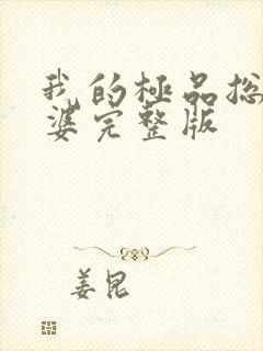 我的极品总裁老婆完整版