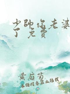 少帅你老婆又跑了 免费