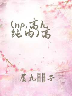 (np,高h,纯肉)高