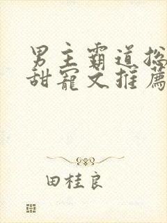 男主霸道总裁甜甜宠文推荐