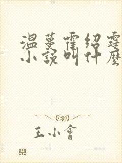 温蔓霍绍霆律师小说叫什么名字