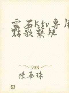 雷石ktv专用点歌系统