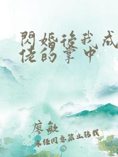 闪婚后我成了大佬的掌中