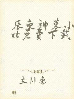 辰东神墓小说txt免费下载