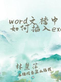 word文档中如何插入excel文件