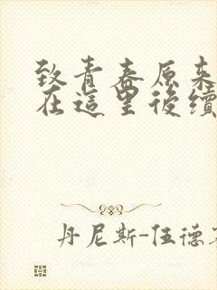 致青春原来你还在这里后续