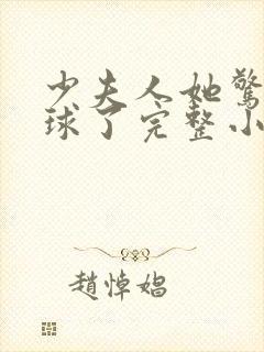 少夫人她惊艳全球了完整小说