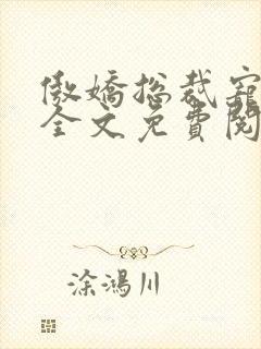 傲娇总裁宠上瘾全文免费阅读全文