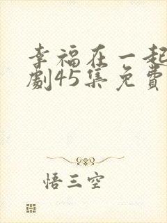 幸福在一起电视剧45集免费观看