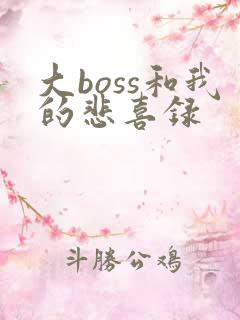 大boss和我的悲喜录