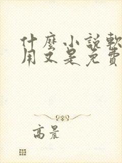 什么小说软件好用又是免费的