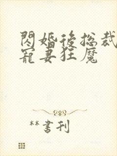 闪婚后总裁成了宠妻狂魔