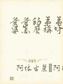 爸爸的弟弟的老婆怎么称呼