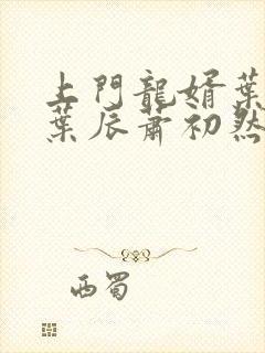 上门龙婿叶辰 叶辰萧初然结局