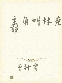 主角叫林尧的小说