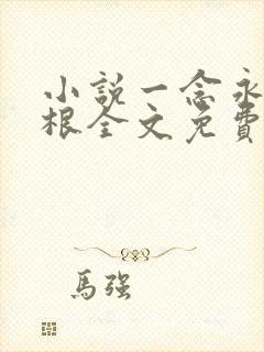 小说一念永恒耳根全文免费阅读