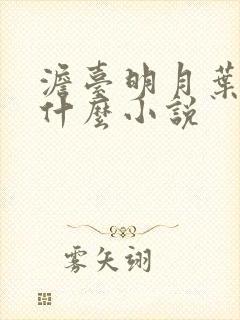 澹台明月叶玄是什么小说