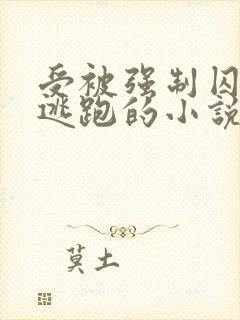 受被强制囚禁后逃跑的小说