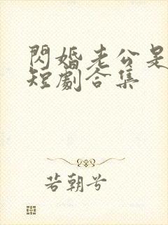 闪婚老公是豪门短剧合集