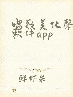 唱歌美化声音的软件app