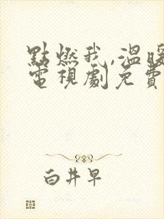 点燃我,温暖你电视剧免费观看全集免费