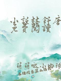 小说林舒唐亦琛免费阅读