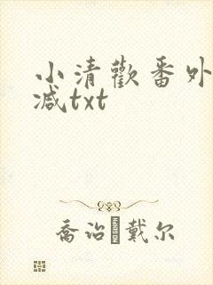 小清欢番外未删减txt
