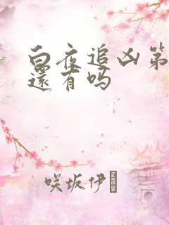 白夜追凶第三季还有吗