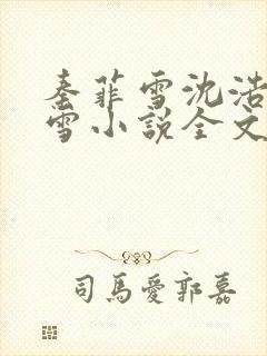 秦菲雪沈浩秦菲雪小说全文免费阅读
