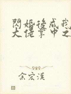 闪婚后成我成了大佬掌中之物