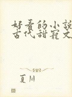 好看的小说言情古代甜宠文