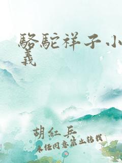 骆驼祥子小说意义