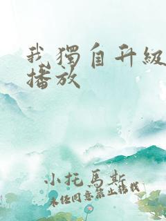 我独自升级动漫播放