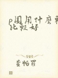 p图用什么软件比较好