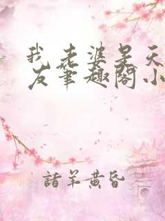 我老婆是天后张友笔趣阁小说
