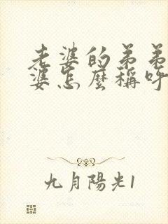 老婆的弟弟的老婆怎么称呼