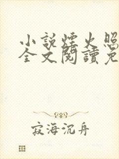 小说烟火照夜白全文阅读免费