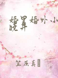 婚里婚外小说叶晓井