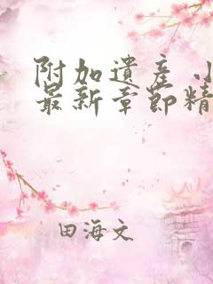 附加遗产 小说最新章节精校版txt