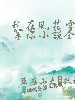 我在风花雪月里等你小说全文免费阅读