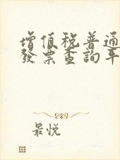 增值税普通电子发票查询平台