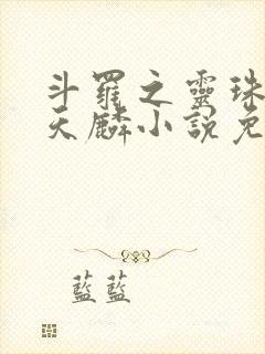 斗罗之灵珠神剑天麟小说免费阅读无弹窗