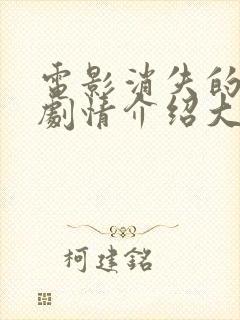 电影消失的丈夫剧情介绍大结局