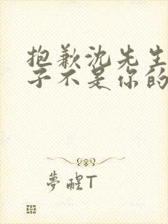 抱歉沈先生,孩子不是你的短剧免费看