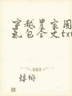 穿越农家团宠福气包全文txt