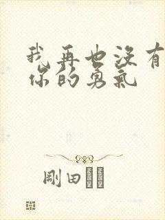 我再也没有离开你的勇气